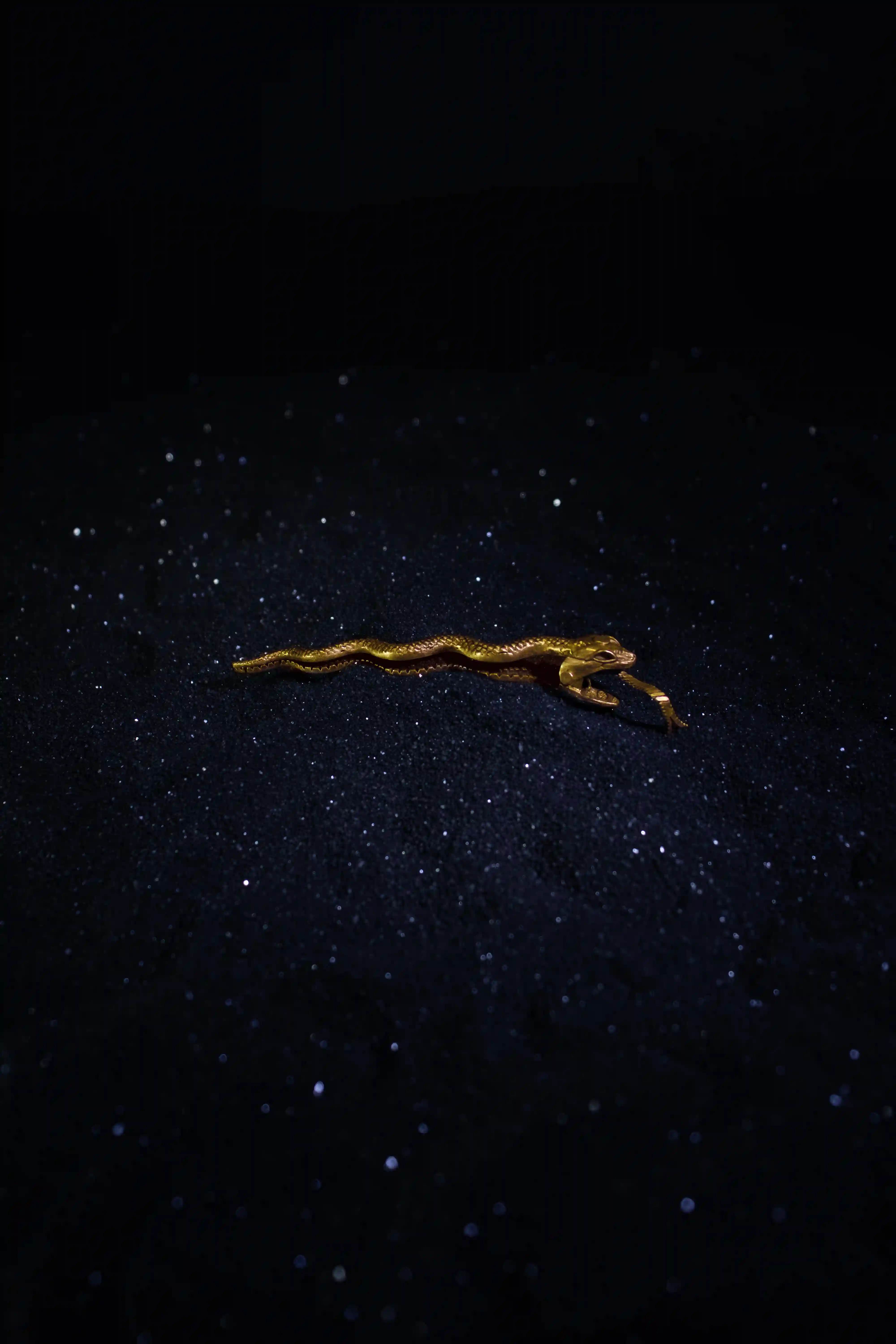Seashas Hair clip - Image 4